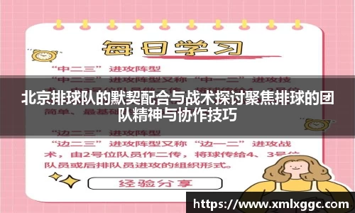 北京排球队的默契配合与战术探讨聚焦排球的团队精神与协作技巧